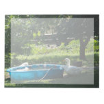 White Ducks and a Pool Scratch Pads