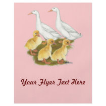 White Ducks and Ducklings Full Color Flyer