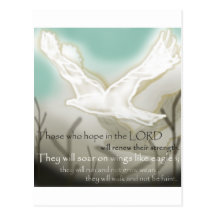White Eagle Postcard