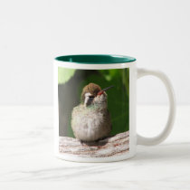 White-eared Hummingbird Mug, right-handled mugs