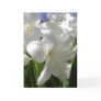 White Easter Lilly Card