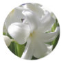White Easter Lilly Stickers