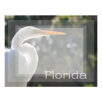 White Egret backlit florida text looking right letterhead