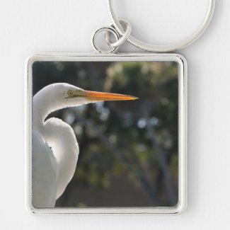 White Egret backlit looking right against trees Keychain
