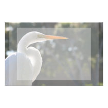 White Egret backlit looking right against trees stationery