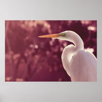 white egret bird on right burgundy tint poster