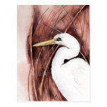 white egret postcard