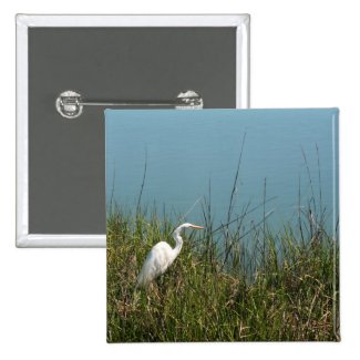 White egret standing in grass w water pinback buttons