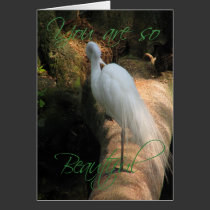 White Egret - You are so Beautiful! cards