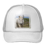 White Equine Baseball Hat