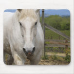 White Equine Mouse Pad
