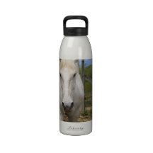 White Equine Water Bottle