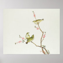 White-Eye bird, Ch'ien-lung period Posters