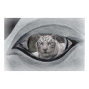 White eyed Tiger posters by The_Yig White eyed Tiger posters