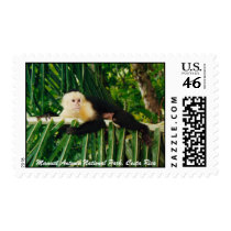 White Faced Capuchin Monkey postage