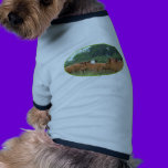 White Faced Cow with Red Cows pet clothing