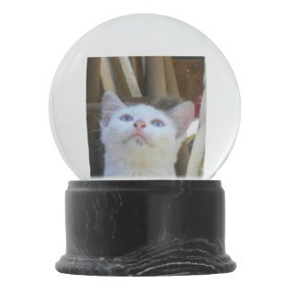 White Farm Cat Blue Eyes Snow Globes