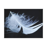 White feather - angelic by nature canvas print
