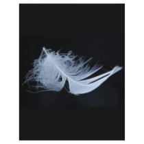 White feather - angelic by nature flyers