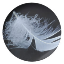 White feather - angelic by nature party plates