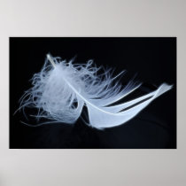 White feather - angelic by nature poster