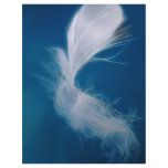 White feather art - symbol of purity and innocence flyers