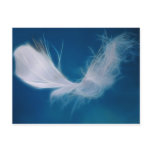 White feather art - symbol of purity and innocence post card