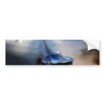 White feather sailing bumper sticker