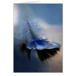 White feather sailing card