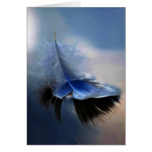White feather sailing card