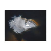 White feather with a raindrop gallery wrapped canvas