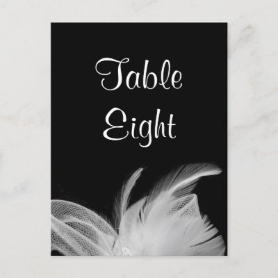 White Feathers Table Number Postcard