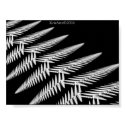 white fern posters