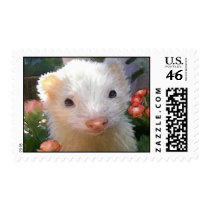 white ferret stamp