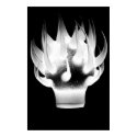 White Flame posters by SHAE White Flame posters