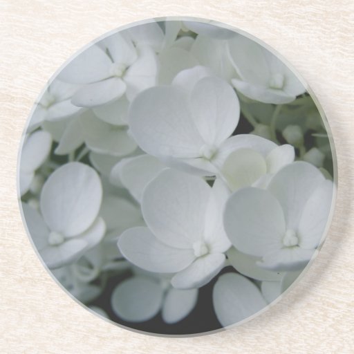 White Floral Coaster