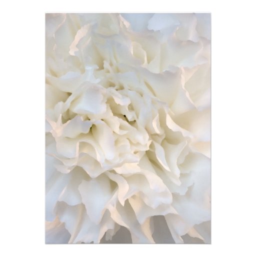 White Floral Post Wedding Brunch Invitation