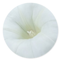 White Floral Sticker