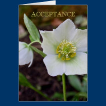 White Flower Acceptance Card cards