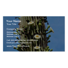white Flower and fruited saguaro cactus, Sonoran D Business Cards
