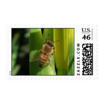 White Flower Bee Stamp by wingedturtle White Flower Bee Stamp