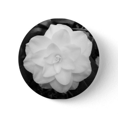 White Flower. (Black and White) Buttons by artberry