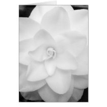 White Flower. (Black and White) - Customized cards