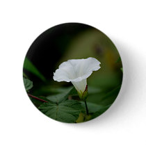White Flower buttons by novaideo White Flower buttons