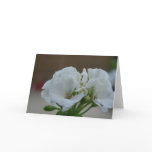 White flower greeting card