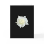 White flower greeting cards