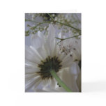 White Flower Card-You! I love cards