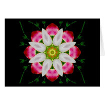 White Flower Cards