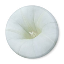 White Flower Center Magnet