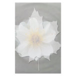 White Flower Dream; No Text Stationery Design